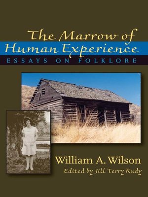 cover image of The Marrow of Human Experience